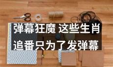 这些生肖追番如此痴迷于发弹幕，已成为真正意义上的“弹幕狂魔”！