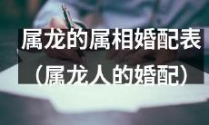 详细探究:属龙人适合与哪些属相结婚?——属龙人的婚姻匹配指南