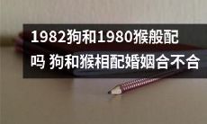 透过属相看婚姻：1982年出生的狗与1980年出生的猴是否相配？狗与猴的婚姻是否合适？