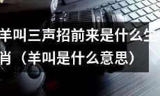 什么生肖在羊发出三声呼叫后会被召来？（解析羊叫的意义）