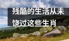 这些生肖从未被生活所饶恕，经历了无尽的残酷与磨难
