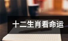 透过探究十二生肖揭示你的命运前途