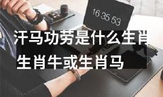 哪个生肖可以被称为“汗马功劳”的代表——是生肖牛还是生肖马？
