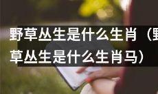 野草丛生的生肖是什么？是马吗？