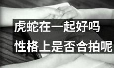 虎和蛇的相处表现：是否有性格上的契合点？