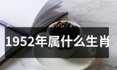 根据中国传统历法，1952年出生的人属于哪个动物年生肖呢？