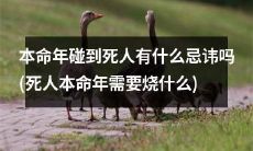 在本命年遇到已故人士，有哪些应注意的忌讳和应采取的祭奠措施？需要烧什么？