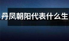 丹凤朝阳代表的是哪个生肖，它们的象征意义是什么？