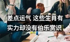 这些生肖实力非凡，但缺乏伯乐相助的可惜泪水，巨大的运气差距倍感遗憾