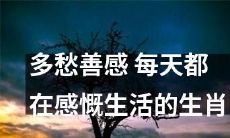深情的多愁善感者，时时感慨生命中的各个层面，从十二生肖到日常生活