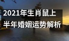 2021年生肖鼠上半年婚姻运势详细解读,包括爱情发展、婚姻状况,为您送来精准的星座预测!