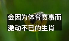 十二生肖中哪些会情绪激动地因体育比赛而狂欢不止？