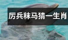 通过猜测生肖进行厉兵秣马的考验