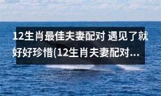 珍爱缘分！探索12生肖最完美夫妻搭配 悉心呵护才能拥有幸福(12生肖夫妻组合指南)