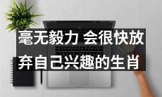 缺乏毅力的十二生肖，易于在追求兴趣爱好的路上放弃
