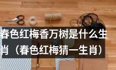 在春色红梅飘香的万千树木之中，你能猜出其中蕴藏着的生肖是什么吗？