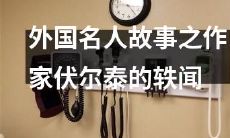 揭秘伟大作家伏尔泰生平中的趣闻轶事：国外名人故事集锦