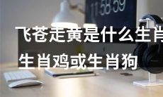 在十二生肖中,哪一种动物被称为“飞苍走黄”的代表,是生肖鸡还是生肖狗?