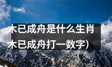 请问木已成舟这个成语所对应的生肖是什么？请将答案转化为数字形式