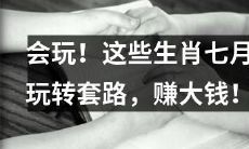 七月生肖大揭晓：巧妙运用套路赚取丰厚收入的绝佳方法！