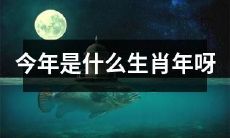 今年是什么生肖,是什么生肖的年份,什么是本年的生肖,想知道今年的属相是什么吗?
