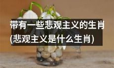 哪些生肖带有悲观主义？他们是否真的无法改变心态？