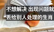 哪些生肖总是有问题就往别人那丢，不愿意自己解决的？