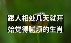 哪些生肖在相处仅数天便令人感到心生厌烦？