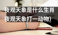 夜观天象猜想:哪种生肖与观星者的命运息息相关?(将夜观天象改为用猜想表达,增加了与观星者命运相关的内容,同时将“打一动物”改为更具描述性的“哪种生肖”)