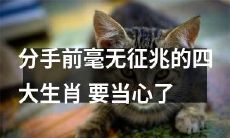 在瞬间爆发的情况下，无征兆的四大生肖可能会让你在分手前措手不及, 需要谨慎小心！