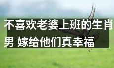 不喜欢妻子工作的属相男子，成婚后令人羡慕不已的幸福生活！