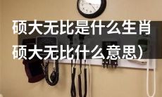 哪个生肖被认为是“硕大无比”？（解释硕大无比的含义）