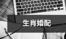 ——从十二生肖角度探讨婚姻匹配的适度与取舍