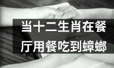 憨态可掬的十二生肖在餐厅用餐之际遭遇蟑螂惊险遭遇