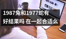 探讨1987年兔和1977年蛇的配对成功率及合适程度：结局如何？