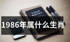 请问1986年出生的人属于哪个生肖？