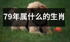 了解生肖年份，知晓自身命运——探究79年出生者的生肖属相和寓意