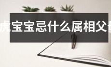 小虎宝宝的生肖运势: 如何避免与其父母属相冲突?