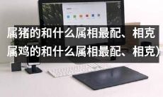 十二生肖之属猪者如何与其他十一种属相进行配对和相克，以及其中特别关注属鸡者的匹配指南
