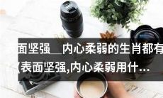哪些生肖外表坚强内心柔软？(坚强外表,柔软内心)