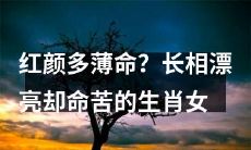 红颜多薄命？探讨长相漂亮却命途坎坷的十二生肖女性
