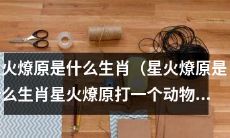 星火燎原是哪个生肖？揭秘星火燎原所代表的动物是什么