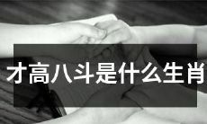 什么生肖被称为“才高八斗”？