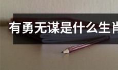 哪些生肖无谋却充满勇气？