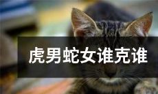 在虎男与蛇女之间，究竟谁能够占据优势？——解读虎男与蛇女的克制关系