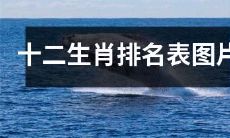 带有可视化图片的精确排名表：十二生肖排名表图解
