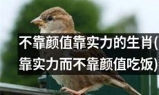 依靠实力而非颜值生存的十二生肖