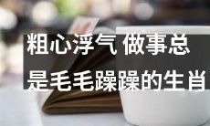 多动症日常：生肖特质中的粗心浮气和毛毛躁躁影响工作生活