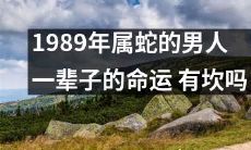 1989年出生的属蛇男人:探索其一生命运是否会经历波折和挑战前进的坎道?
