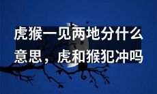 当虎猴相见时,为何会导致两地分离?虎与猴是否存在冲突?